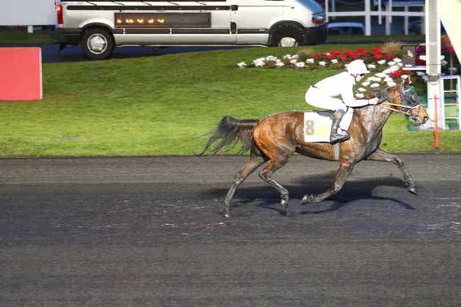 Photo d'arrivée de la course pmu PRIX DE CHALONS-EN-CHAMPAGNE à PARIS-VINCENNES le Dimanche 5 février 2017