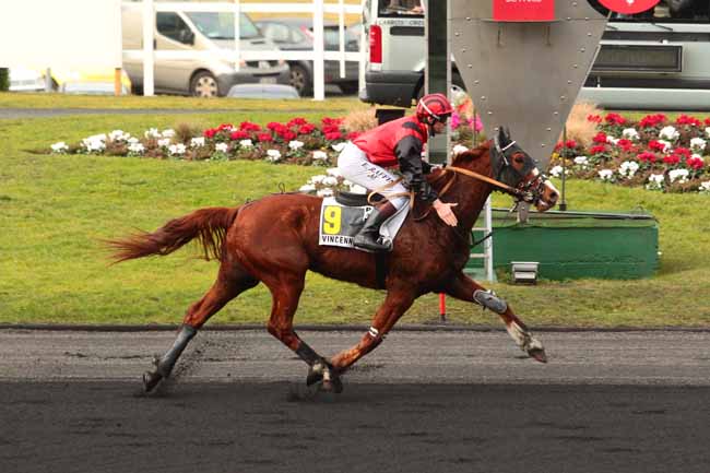 Photo d'arrivée de la course pmu PRIX DU POITOU à PARIS-VINCENNES le Lundi 6 février 2017