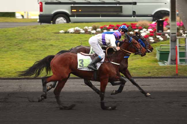 Photo d'arrivée de la course pmu PRIX DE LA GENEVRAYE à PARIS-VINCENNES le Lundi 6 février 2017