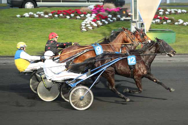 Photo d'arrivée de la course pmu PRIX DES ROUGES TERRES à PARIS-VINCENNES le Lundi 6 février 2017