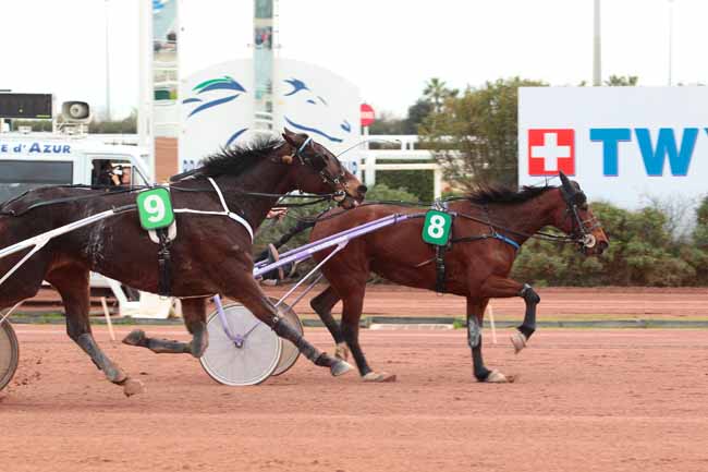 Photo d'arrivée de la course pmu PRIX DES LYS MARTAGON à CAGNES-SUR-MER le Mardi 7 février 2017