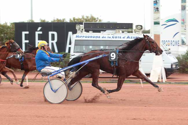 Photo d'arrivée de la course pmu PRIX DE LA BRUYERE à CAGNES-SUR-MER le Mardi 7 février 2017