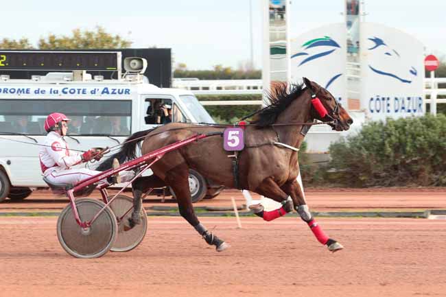 Photo d'arrivée de la course pmu PRIX DES BOUTONS D'OR à CAGNES-SUR-MER le Mardi 7 février 2017