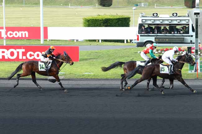 Photo d'arrivée de la course pmu PRIX DE ROZAY-EN-BRIE à PARIS-VINCENNES le Mercredi 8 février 2017