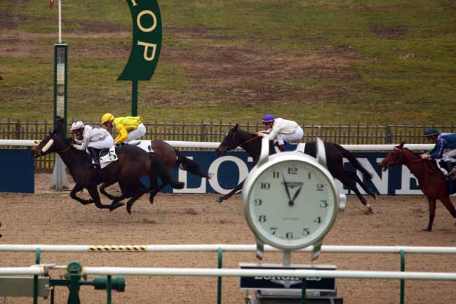 Photo d'arrivée de la course pmu PRIX DU BOIS DE BEAUVILLIERS à CHANTILLY le Jeudi 9 février 2017
