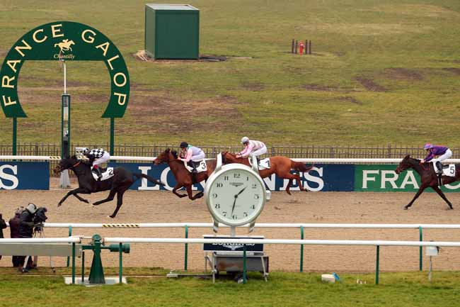 Photo d'arrivée de la course pmu PRIX DE LA ROUTE DES SUISSES à CHANTILLY le Jeudi 9 février 2017