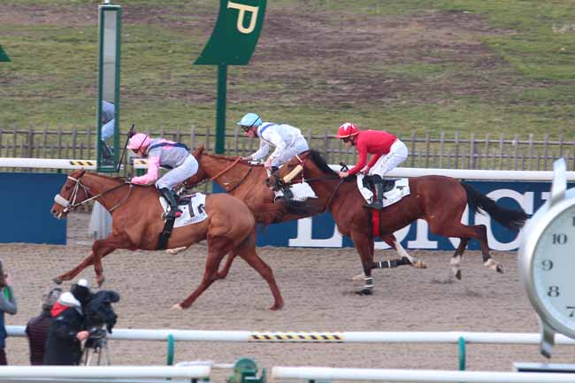 Photo d'arrivée de la course pmu PRIX DE LA ROUTE DES GENETS à CHANTILLY le Jeudi 9 février 2017