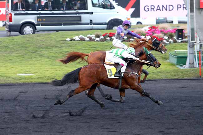 Photo d'arrivée de la course pmu PRIX DES CENTAURES à PARIS-VINCENNES le Dimanche 12 février 2017