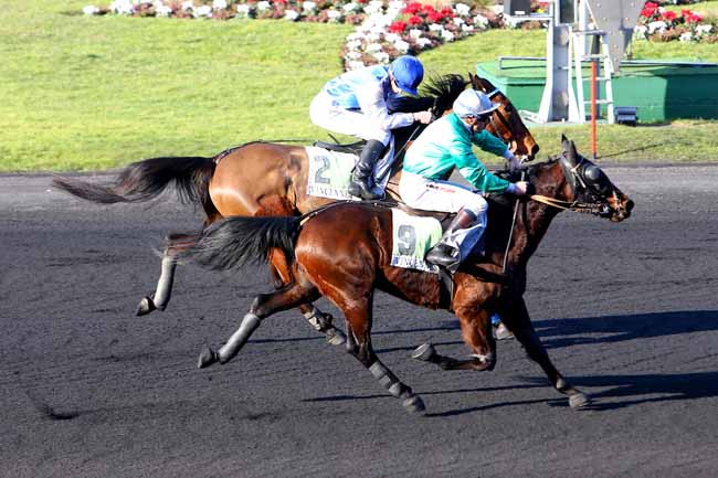Photo d'arrivée de la course pmu PRIX DECIDEE à PARIS-VINCENNES le Lundi 13 février 2017