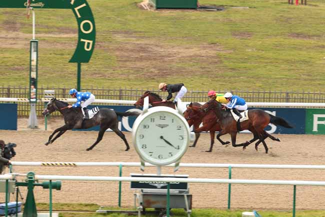 Photo d'arrivée de la course pmu PRIX DU PARC LAVERSINE à CHANTILLY le Mardi 14 février 2017