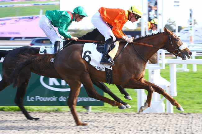 Photo d'arrivée de la course pmu PRIX DE L'ESTEREL à CAGNES-SUR-MER le Mercredi 15 février 2017