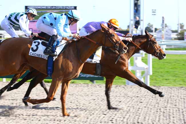 Photo d'arrivée de la course pmu PRIX WERNER BALTROMEI à CAGNES-SUR-MER le Mercredi 15 février 2017