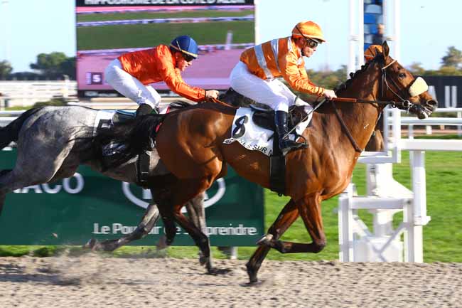 Photo d'arrivée de la course pmu PRIX DES MAURES à CAGNES-SUR-MER le Mercredi 15 février 2017