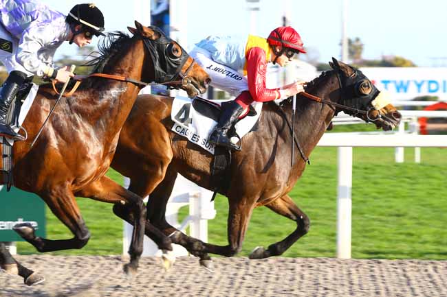 Photo d'arrivée de la course pmu PRIX DES CAMPANULES à CAGNES-SUR-MER le Mercredi 15 février 2017