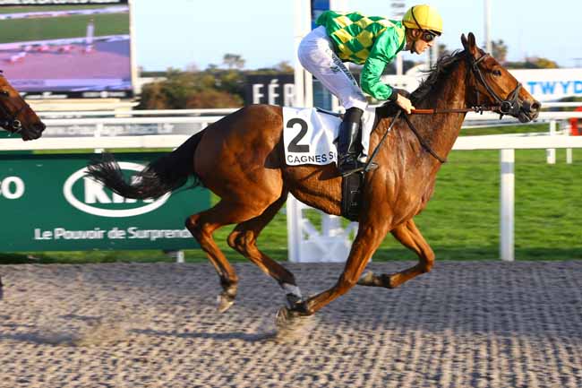 Photo d'arrivée de la course pmu PRIX DES JACINTHES à CAGNES-SUR-MER le Mercredi 15 février 2017