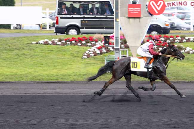 Photo d'arrivée de la course pmu PRIX EDOUARD MARCILLAC à PARIS-VINCENNES le Jeudi 16 février 2017