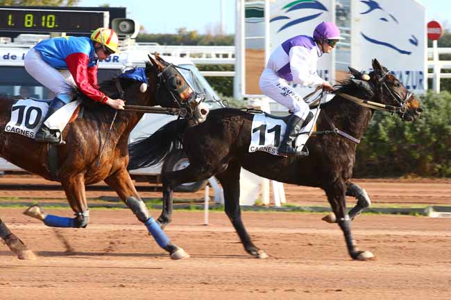 Photo d'arrivée de la course pmu PRIX SCARLET TURGOT à CAGNES-SUR-MER le Vendredi 17 février 2017