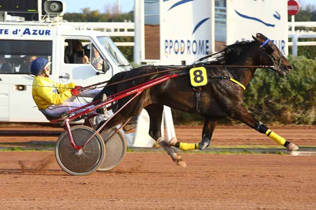 Photo d'arrivée de la course pmu PRIX DE MADRID à CAGNES-SUR-MER le Vendredi 17 février 2017