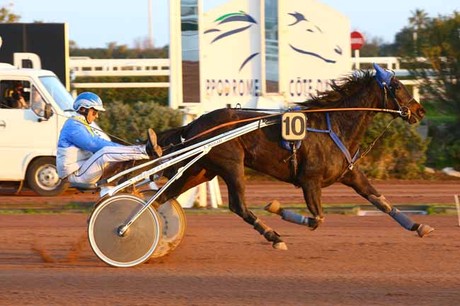 Photo d'arrivée de la course pmu PRIX DE JEREZ DE LA FRONTERA à CAGNES-SUR-MER le Vendredi 17 février 2017
