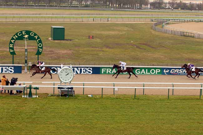 Photo d'arrivée de la course pmu PRIX DE CHAUVRY à CHANTILLY le Vendredi 17 février 2017