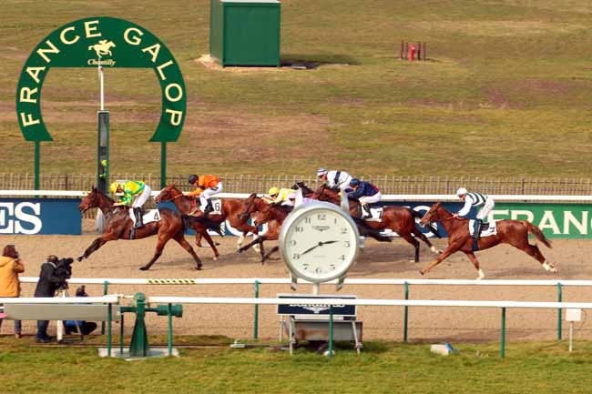 Photo d'arrivée de la course pmu PRIX DU CASTEL à CHANTILLY le Vendredi 17 février 2017