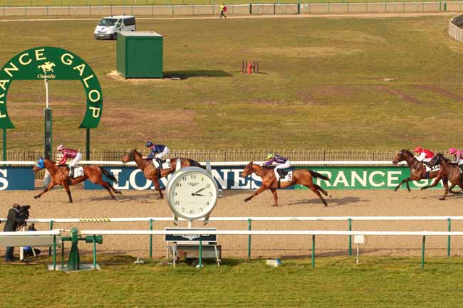 Photo d'arrivée de la course pmu PRIX DU CROCHET DE COYE à CHANTILLY le Vendredi 17 février 2017