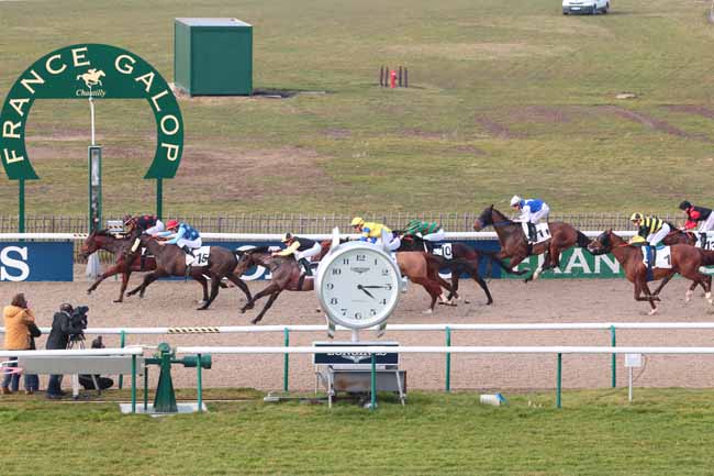 Photo d'arrivée de la course pmu PRIX DU CHEMIN ROYAL à CHANTILLY le Vendredi 17 février 2017