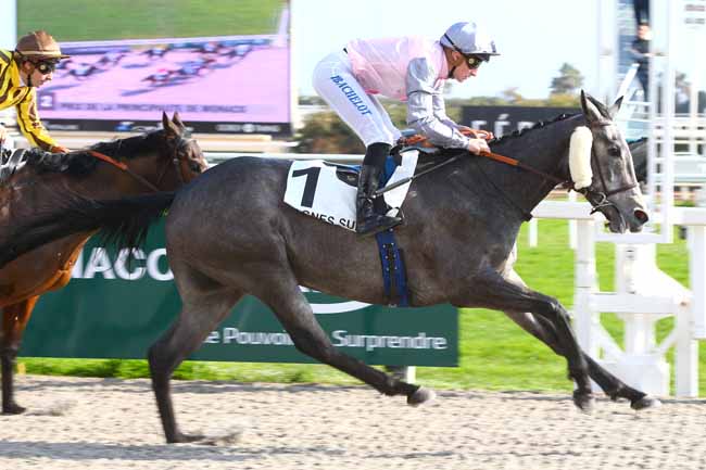 Photo d'arrivée de la course pmu PRIX DE LA PRINCIPAUTE DE MONACO à CAGNES-SUR-MER le Samedi 18 février 2017