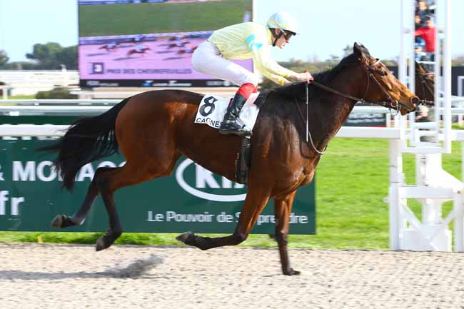 Photo d'arrivée de la course pmu PRIX DES CHEVREFEUILLES à CAGNES-SUR-MER le Samedi 18 février 2017