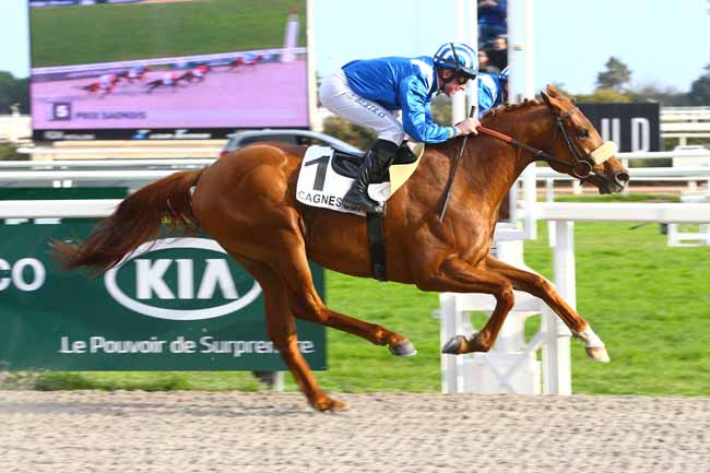 Photo d'arrivée de la course pmu PRIX SAONOIS à CAGNES-SUR-MER le Samedi 18 février 2017