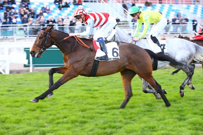 Photo d'arrivée de la course pmu PRIX DES BOUCHES DU LOUP à CAGNES-SUR-MER le Samedi 18 février 2017