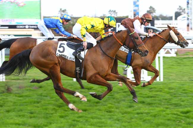 Photo d'arrivée de la course pmu PRIX DE LA CROIX DES GARDES à CAGNES-SUR-MER le Samedi 18 février 2017