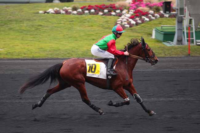 Photo d'arrivée de la course pmu PRIX DE MORTAGNE à PARIS-VINCENNES le Lundi 20 février 2017
