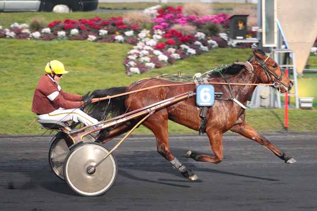 Photo d'arrivée de la course pmu PRIX DE CARQUEBUT à PARIS-VINCENNES le Lundi 20 février 2017