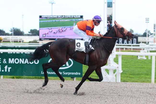 Photo d'arrivée de la course pmu GRAND PRIX DE PASSAU à CAGNES-SUR-MER le Mercredi 22 février 2017