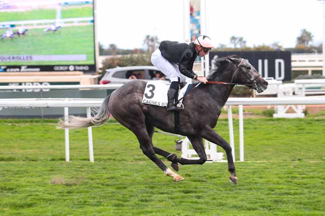 Photo d'arrivée de la course pmu PRIX DE PORQUEROLLES à CAGNES-SUR-MER le Mercredi 22 février 2017