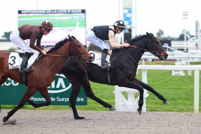 Photo d'arrivée de la course pmu PRIX DES GENEVRIERS à CAGNES-SUR-MER le Mercredi 22 février 2017