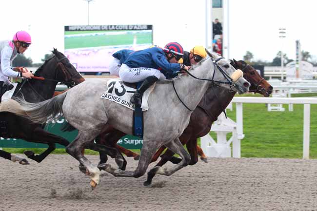 Photo d'arrivée de la course pmu PRIX DE FONTVIEILLE à CAGNES-SUR-MER le Mercredi 22 février 2017