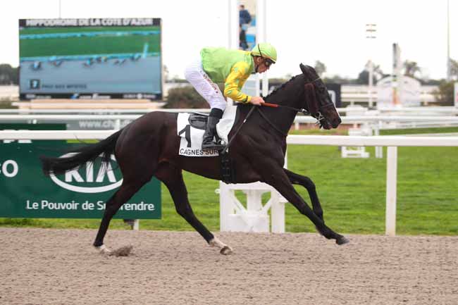 Photo d'arrivée de la course pmu PRIX DES MYRTES à CAGNES-SUR-MER le Mercredi 22 février 2017
