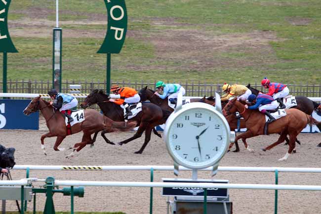 Photo d'arrivée de la course pmu PRIX DE LA ROUTE DE FLEURINES à CHANTILLY le Jeudi 23 février 2017