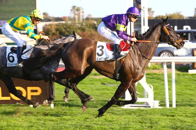 Photo d'arrivée de la course pmu GRAND PRIX DU DEPARTEMENT 06 à CAGNES-SUR-MER le Samedi 25 février 2017