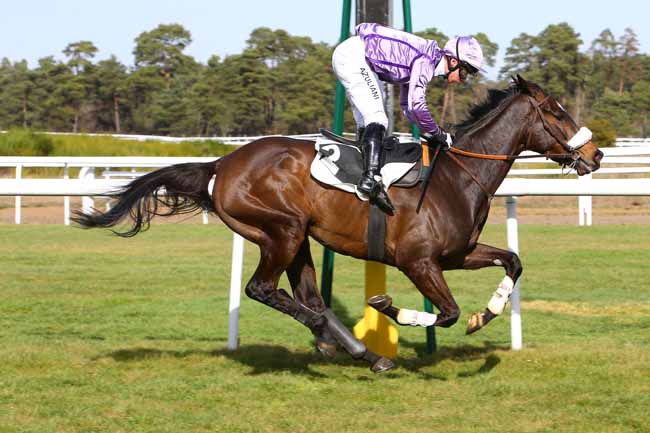 Photo d'arrivée de la course pmu PRIX DE LA SOCIETE DES COURSES DE PAU à FONTAINEBLEAU le Samedi 25 février 2017