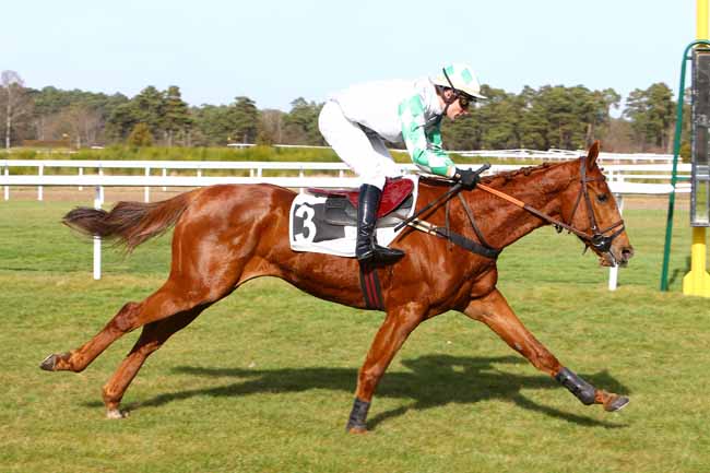 Photo d'arrivée de la course pmu PRIX GENERAL MARION à FONTAINEBLEAU le Samedi 25 février 2017