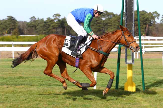 Photo d'arrivée de la course pmu PRIX DE LA SOCIETE DES COURSES DE CRAON à FONTAINEBLEAU le Samedi 25 février 2017