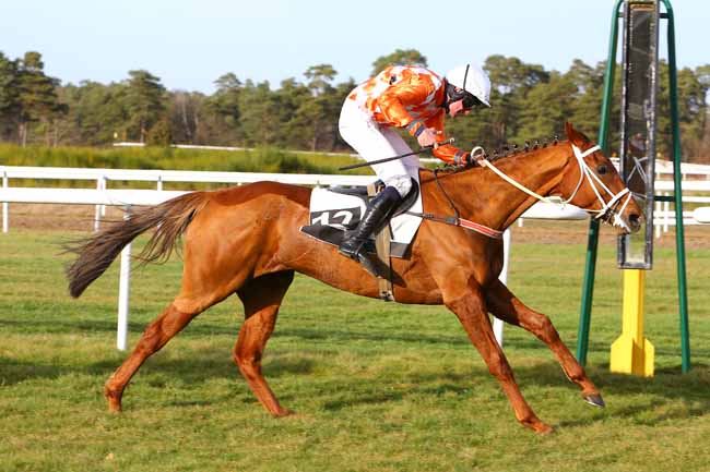 Photo d'arrivée de la course pmu PRIX DU CONSEIL MUNICIPAL DE CHAILLY-EN-BIERE à FONTAINEBLEAU le Samedi 25 février 2017