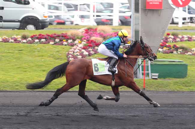 Photo d'arrivée de la course pmu PRIX VIVIER DE MONTFORT à PARIS-VINCENNES le Dimanche 26 février 2017