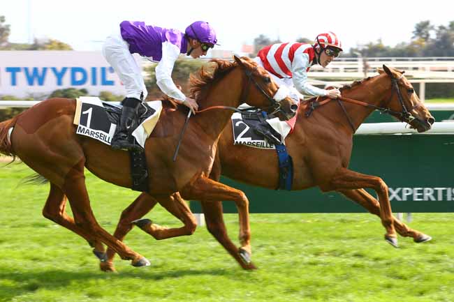Photo d'arrivée de la course pmu PRIX DE MARSEILLE-BORELY à CAGNES-SUR-MER le Lundi 27 février 2017