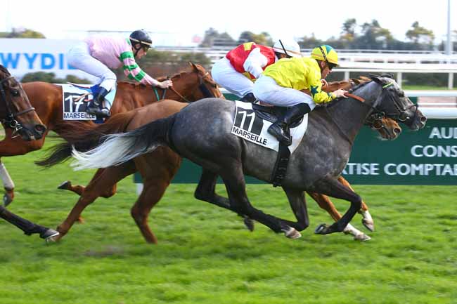 Photo d'arrivée de la course pmu PRIX DE MARSEILLE-VIVAUX à CAGNES-SUR-MER le Lundi 27 février 2017