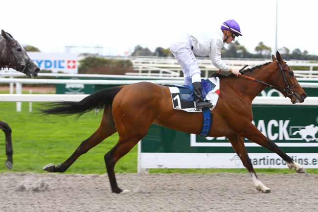 Photo d'arrivée de la course pmu PRIX DE CARRY à CAGNES-SUR-MER le Lundi 27 février 2017