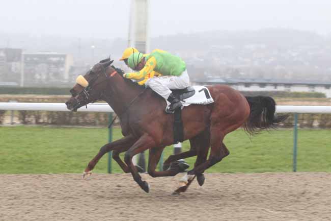 Photo d'arrivée de la course pmu PRIX DE BRANVILLE à DEAUVILLE le Mercredi 1 mars 2017